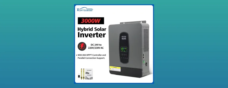 DATOUBOSS SP3000W 24V to 220V